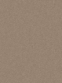 wDTW104703A400-R Das Teppichwerk Teppichboden Passion and...