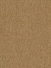 wDTW104562A400-R Das Teppichwerk Teppichboden Passion and...