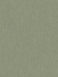 wDTW104564A400-R Das Teppichwerk Teppichboden Passion and...