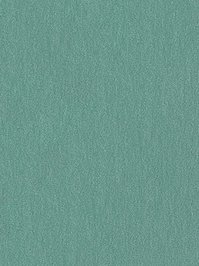 wDTW104565A400-R Das Teppichwerk Teppichboden Passion and...