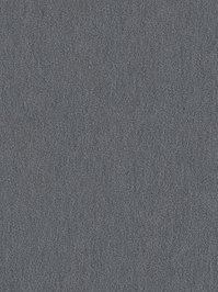 wDTW104567A400-R Das Teppichwerk Teppichboden Passion and...