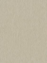 wDTW104570A400-R Das Teppichwerk Teppichboden Passion and...