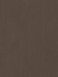 wDTW104572A400-R Das Teppichwerk Teppichboden Passion and...