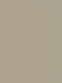 wDTW104573A400-R Das Teppichwerk Teppichboden Passion and...