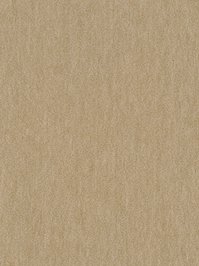 wDTW104574A400-R Das Teppichwerk Teppichboden Passion and...