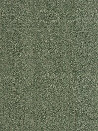wDTW104611A400-R Das Teppichwerk Teppichboden Passion and...