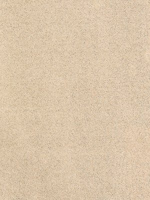 wDTW104616A400-R Das Teppichwerk Teppichboden Passion and...