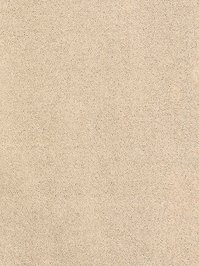 wDTW104616A400-R Das Teppichwerk Teppichboden Passion and...