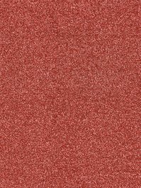 wDTW104650A400-R Das Teppichwerk Teppichboden Passion and...
