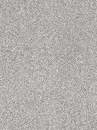 wDTW104657A400-R Das Teppichwerk Teppichboden Passion and...