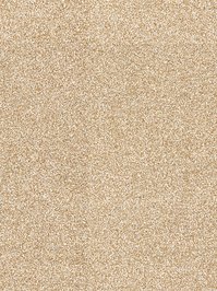 wDTW104660A400-R Das Teppichwerk Teppichboden Passion and...