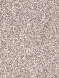 wDTW104661A400-R Das Teppichwerk Teppichboden Passion and...