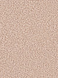 wDTW104501A400-R Das Teppichwerk Teppichboden Passion and...