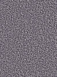 wDTW104509A400-R Das Teppichwerk Teppichboden Passion and...
