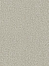 wDTW104510A400-R Das Teppichwerk Teppichboden Passion and...