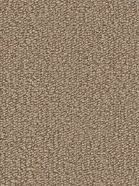 wDTW104511A400-R Das Teppichwerk Teppichboden Passion and...