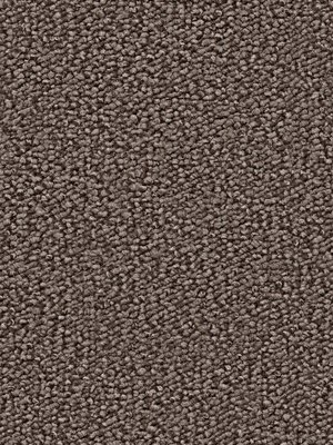 wDTW104512A400-R Das Teppichwerk Teppichboden Passion and...