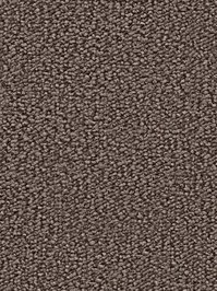 wDTW104512A400-R Das Teppichwerk Teppichboden Passion and...