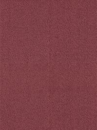 wDTW104576A400-R Das Teppichwerk Teppichboden Passion and...