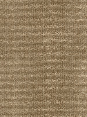 wDTW100388A400-R Das Teppichwerk Teppichboden Passion and...
