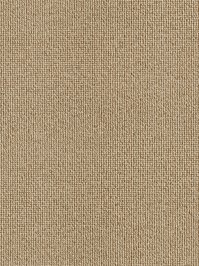 wDTW100388A400-R Das Teppichwerk Teppichboden Passion and...