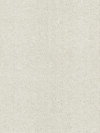 wDTW100389A400-R Das Teppichwerk Teppichboden Passion and...