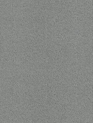 wDTW100382A400-R Das Teppichwerk Teppichboden Passion and...