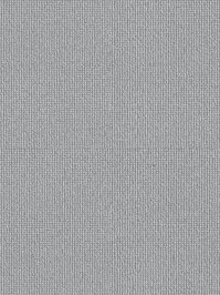 wDTW100383A400-R Das Teppichwerk Teppichboden Passion and...