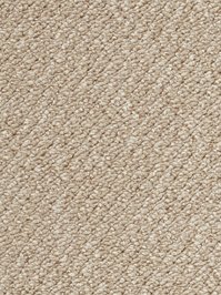 wDTW104488A400-R Das Teppichwerk Teppichboden Passion and...