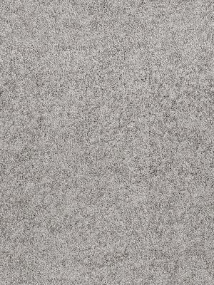 wDTW104591A400-R Das Teppichwerk Teppichboden Passion and...