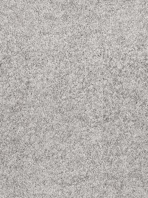 wDTW104593A400-R Das Teppichwerk Teppichboden Passion and...