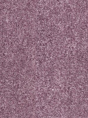 wDTW104595A400-R Das Teppichwerk Teppichboden Passion and...