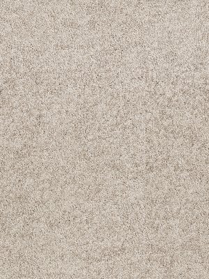 wDTW104597A400-R Das Teppichwerk Teppichboden Passion and...