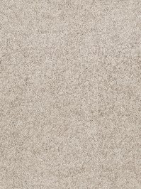 wDTW104597A400-R Das Teppichwerk Teppichboden Passion and...
