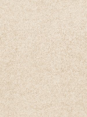 wDTW104598A400-R Das Teppichwerk Teppichboden Passion and...