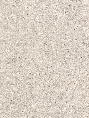 m-wDTW104615A400-R Das Teppichwerk Teppichboden Passion...