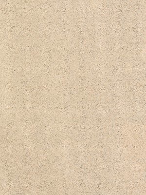 m-wDTW104616A400-R Das Teppichwerk Teppichboden Passion...