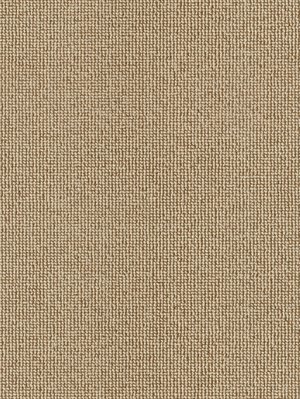 m-wDTW100388A400-R Das Teppichwerk Teppichboden Passion...