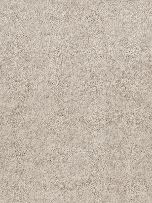 m-wDTW104597A400-R Das Teppichwerk Teppichboden Passion...