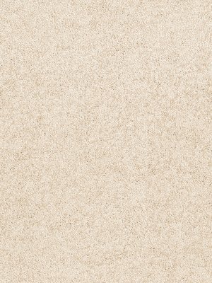 m-wDTW104598A400-R Das Teppichwerk Teppichboden Passion...