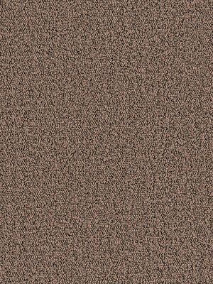wDTW104358A400-P - Das Teppichwerk Teppichboden Getuftete...