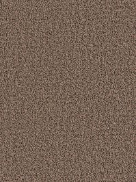 wDTW104358A400-P - Das Teppichwerk Teppichboden Getuftete...