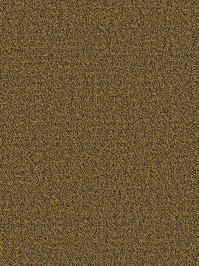 wDTW104359A400-P - Das Teppichwerk Teppichboden Getuftete...