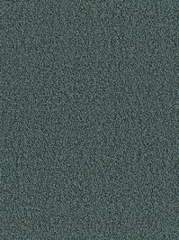 wDTW104360A400-P - Das Teppichwerk Teppichboden Getuftete...