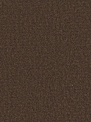 wDTW104365A400-P - Das Teppichwerk Teppichboden Getuftete...