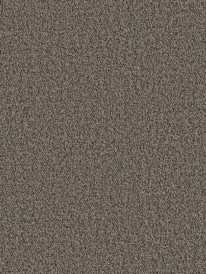 wDTW104366A400-P - Das Teppichwerk Teppichboden Getuftete...