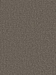 wDTW104366A400-P - Das Teppichwerk Teppichboden Getuftete...