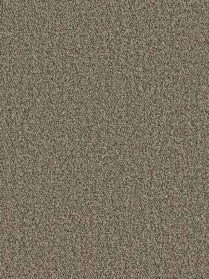 wDTW104367A400-P - Das Teppichwerk Teppichboden Getuftete...