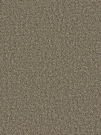 wDTW104367A400-P - Das Teppichwerk Teppichboden Getuftete...