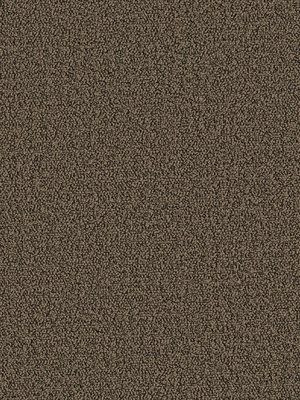wDTW104368A400-P - Das Teppichwerk Teppichboden Getuftete...